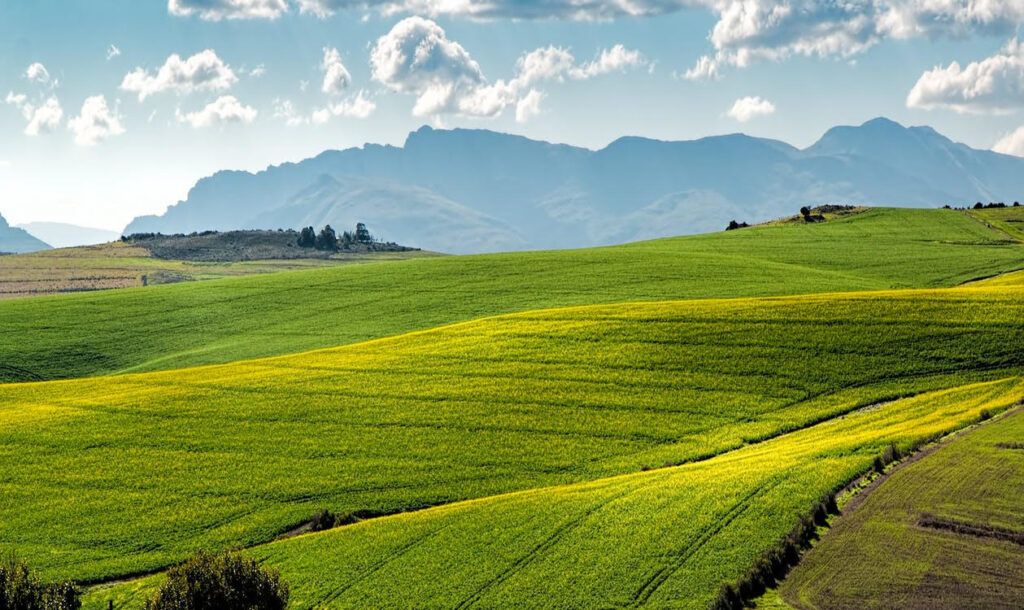 AVVISO – Bando di Gara per la Concessione in Affitto di Terreni Pascolivi di Proprietà Comunale